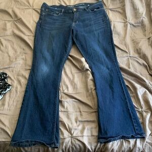 Signature Levi Strauss Jeans